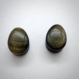 Golden Obsidian Teardrop Plugs (pair) - N / A - Pain Couture Body Piercing