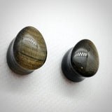 Golden Obsidian Teardrop Plugs (pair) - N / A - Pain Couture Body Piercing