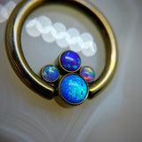 SALE! Anatometal Cluster Captive Bead Ring - Anatometal - Pain Couture Body Piercing