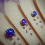 Synthetic Opal cabochon (threadless) - Neometal - Pain Couture Body Piercing