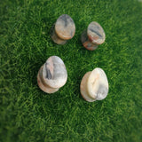 Crazy Lace Agate Teardrop plug